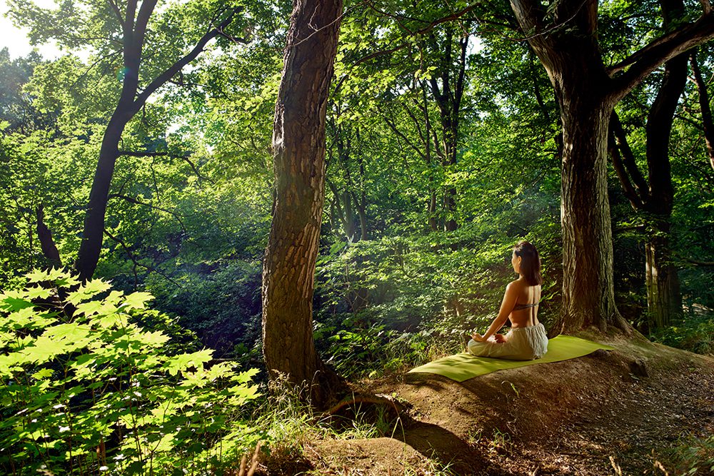 Forest Bathing Benefits  How Shinrin-Yoku Can Sooth Your Body & Mind