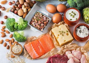 The Power of Protein in Menopause: Assortment of healthy protein source and body building food.